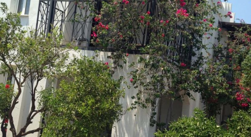MANDARIN APART BODRUM фото 6
