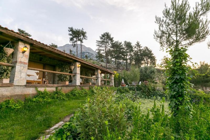 OLYMPOS MOUNTAIN LODGE BOUTIQUE фото 5