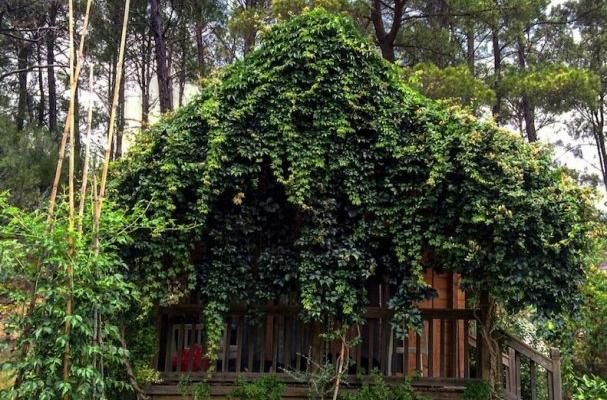OLYMPOS VILLAGE фото 3