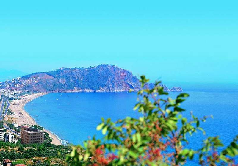 PALMERA KLEOPATRA BEACH