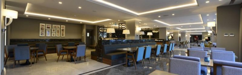 HOLIDAY INN BURSA CITY CENTRE AN IHG HOTEL фото 7