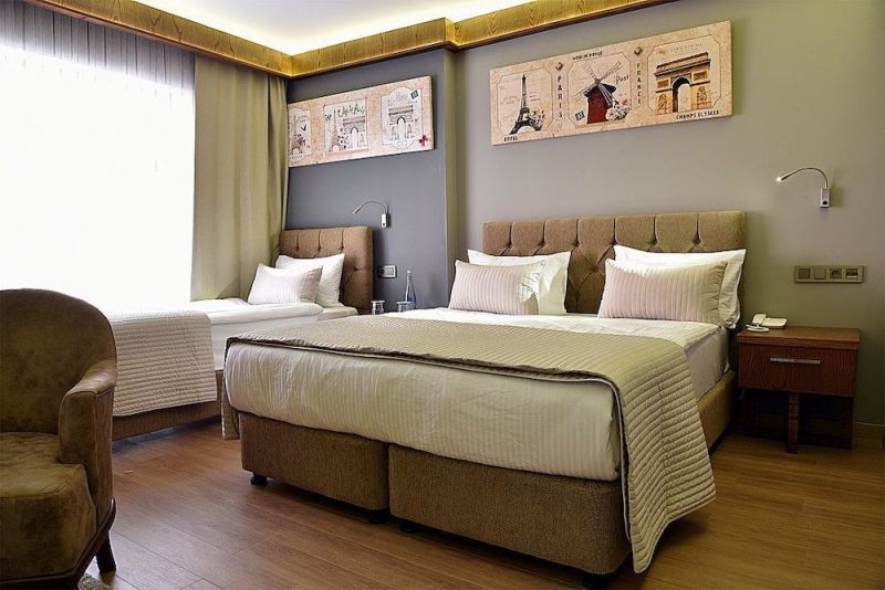 THE ELEGANT HOTEL фото 3