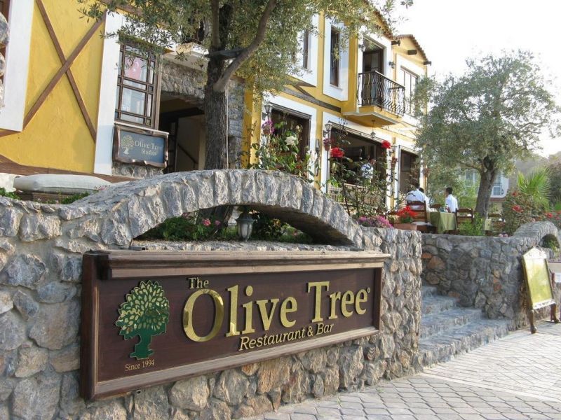 THE OLIVE TREE STUDIOS ADULTS ONLY фото 8