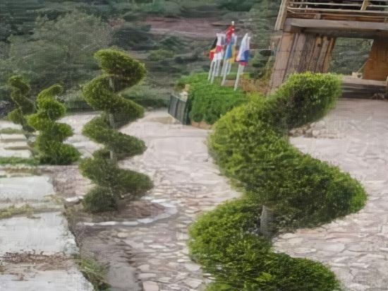 TREE HOUSES фото 3