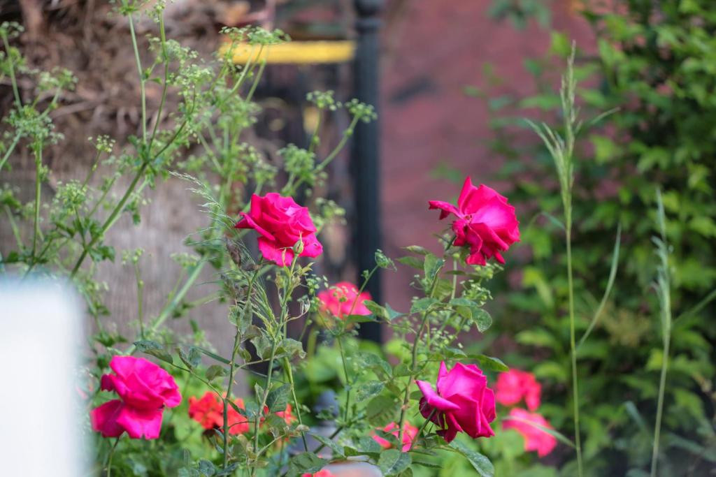 PINK PALACE фото 4