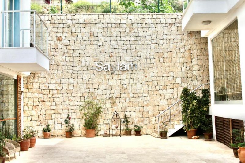 SAYLAM SUITES HOTEL фото 6