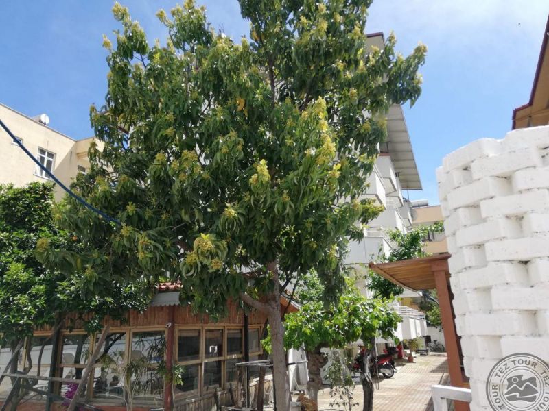SIDE OSMANLI HOTEL фото 8