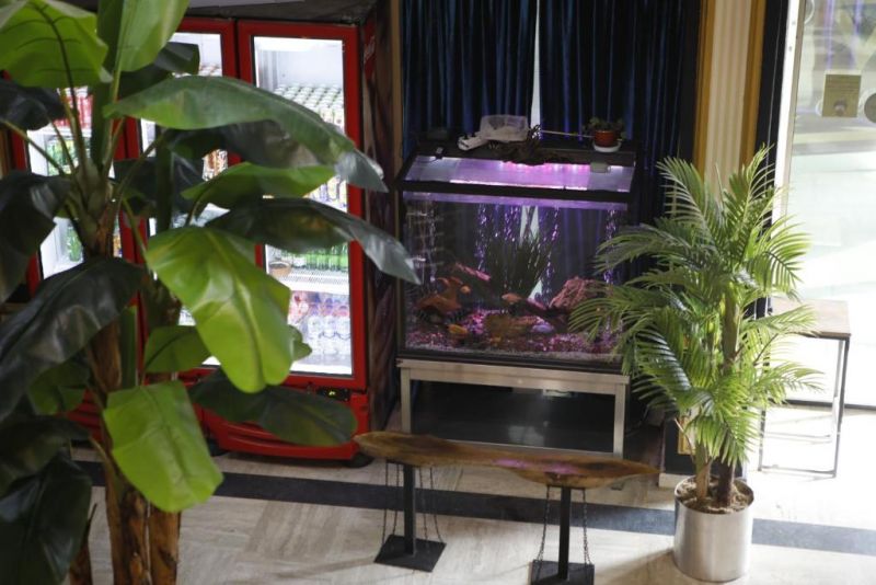 SILIVRI SAFIR HOTEL фото 8