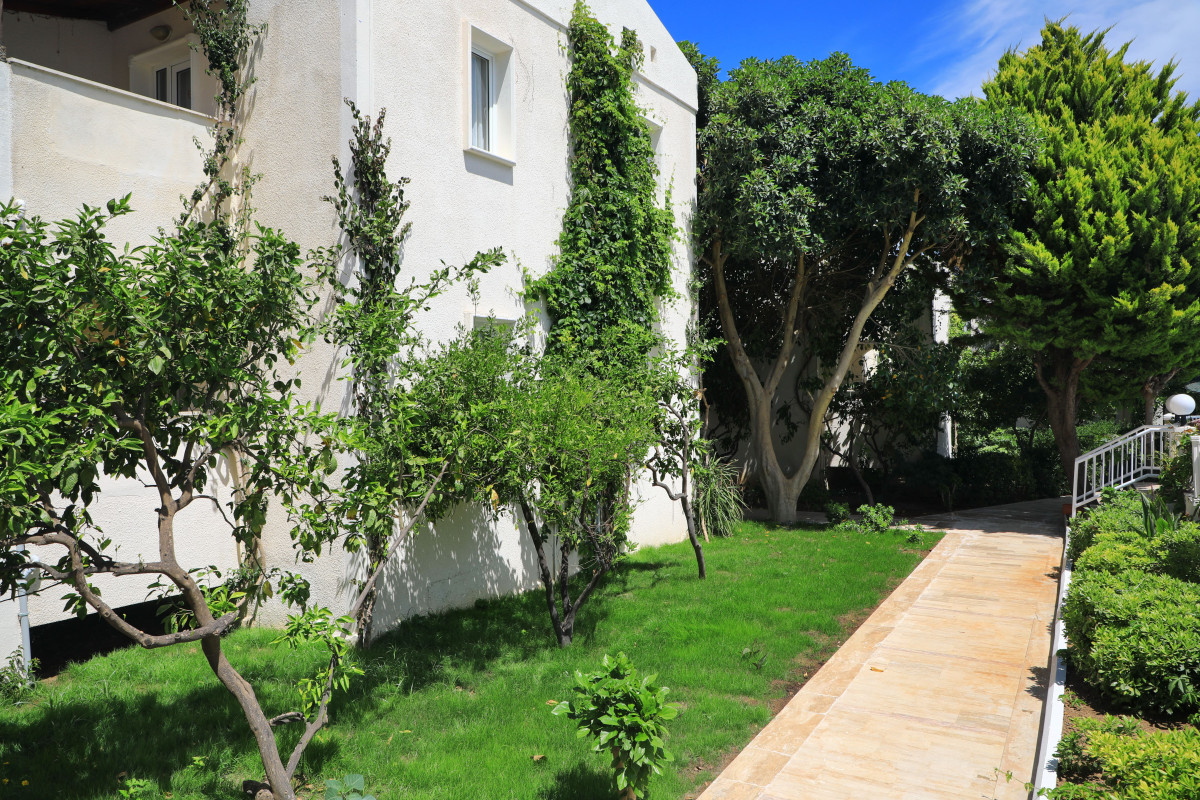 SUMMER GARDEN SUITES AND BEACH HOTEL (EX. SUMMER GARDEN APART) фото 6