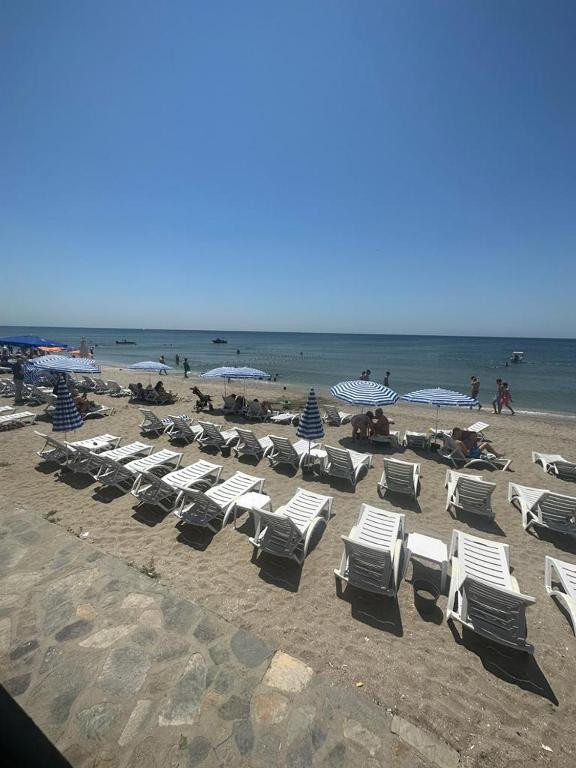 DIVINE BEACH RESORT (EX. TURIZOOM BEACH RESORT) фото 7