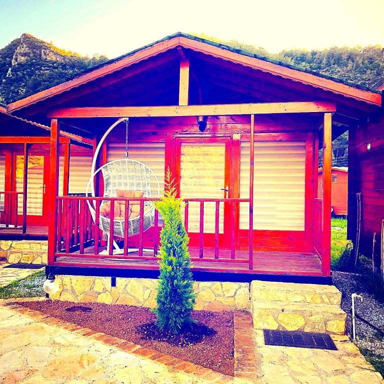 ZOE GLAMPING фото 3