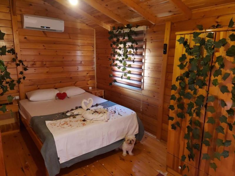 ZOE GLAMPING фото 6