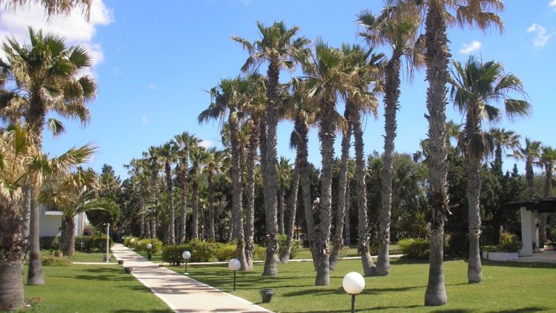 EL MOURADI BEACH фото 2