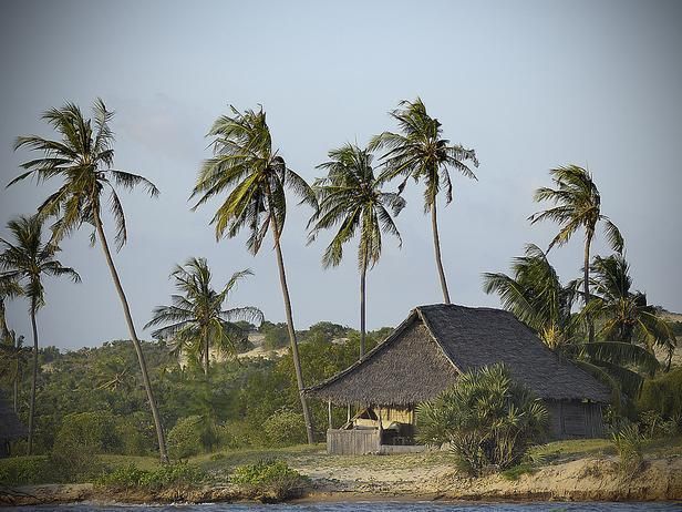 KIPUNGANI EXPLORER фото 8