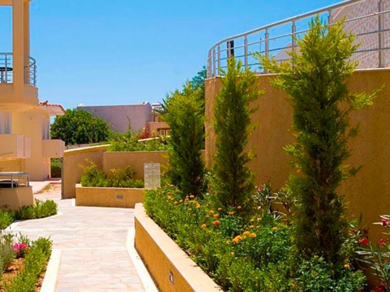 AEGEAN DREAM HOTEL фото 3