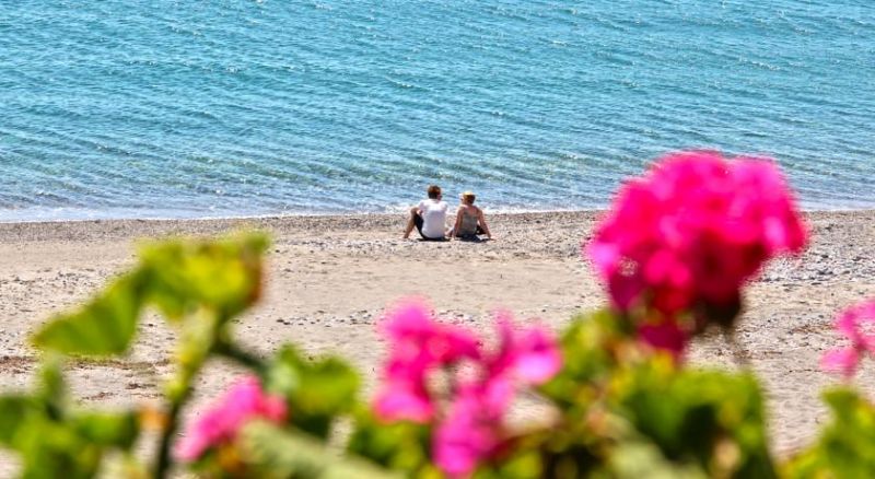 ALIANTHOS BEACH HOTEL фото 3
