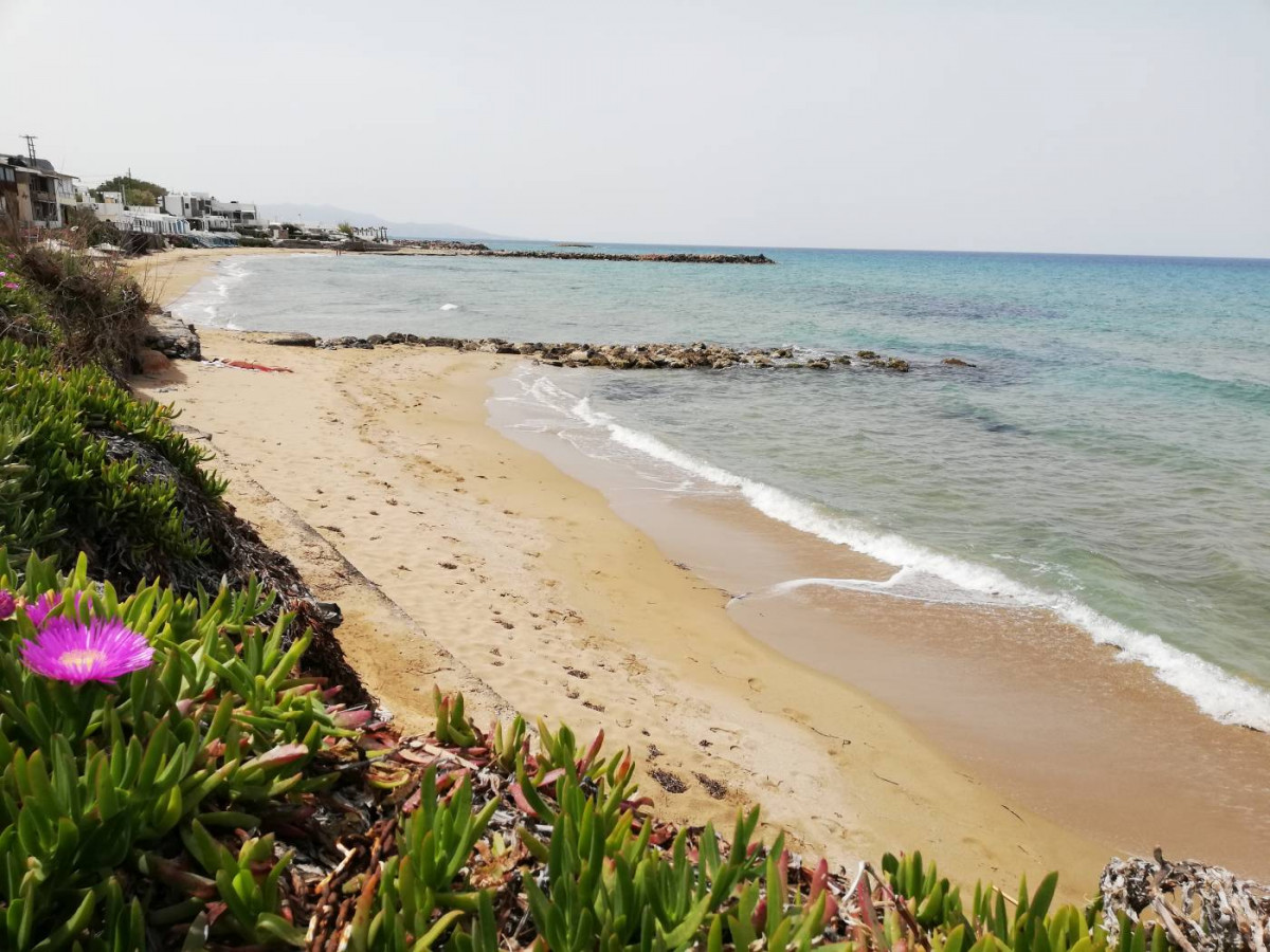 ALMARE BEACH фото 7