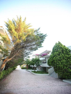BEIS BEACH фото 2
