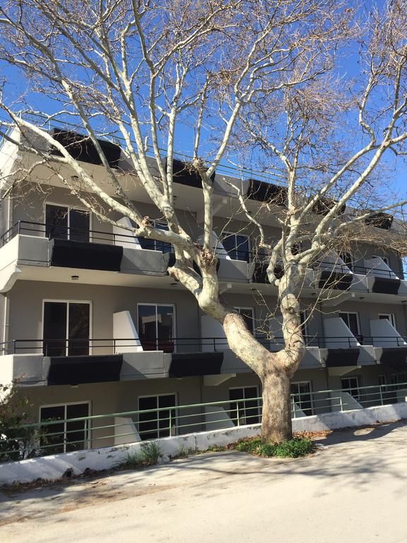 BLACK ROSE HOTEL & SUITES фото 8