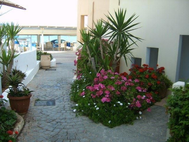 BLUE SKY BEACH HOTEL фото 4