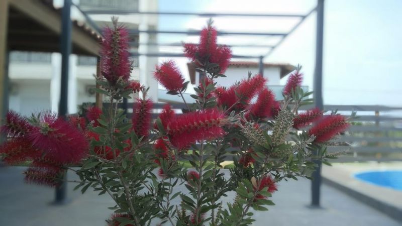 BRIGHT STAR фото 8