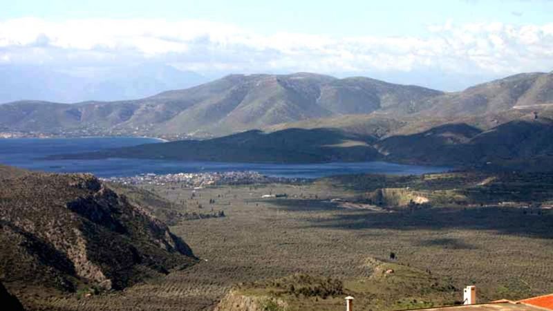 CASTRI фото 4