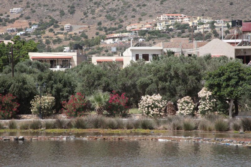 ELOUNDA OLIVE GARDEN APTS & STUDIOS фото 8