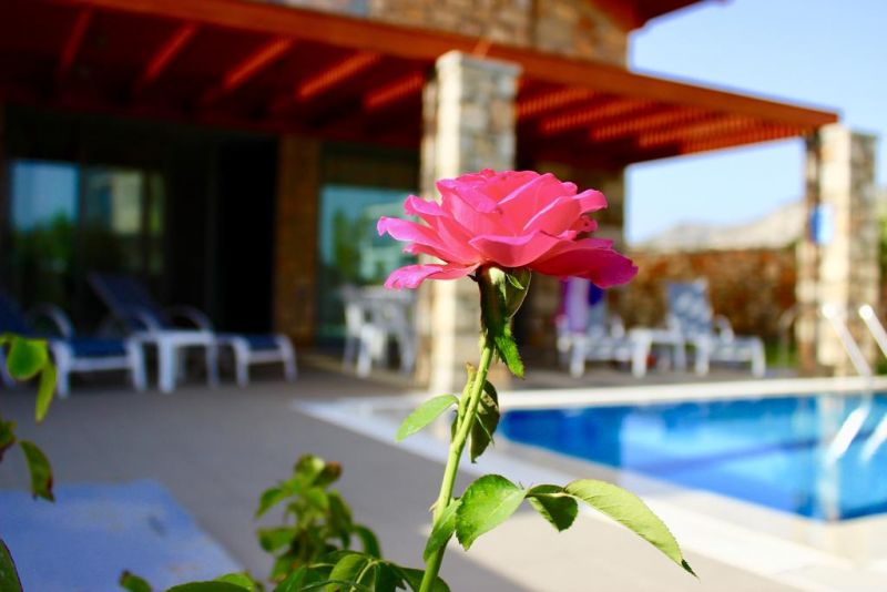 ESTRELLA VILLAS фото 3