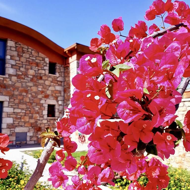 ESTRELLA VILLAS фото 4