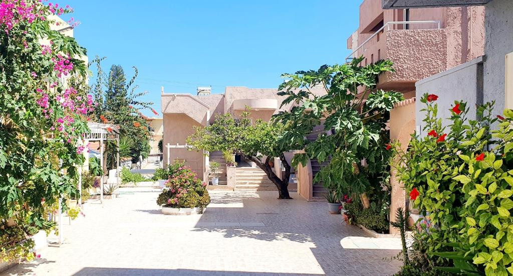 EVINA ROOMS & SUITES фото 3