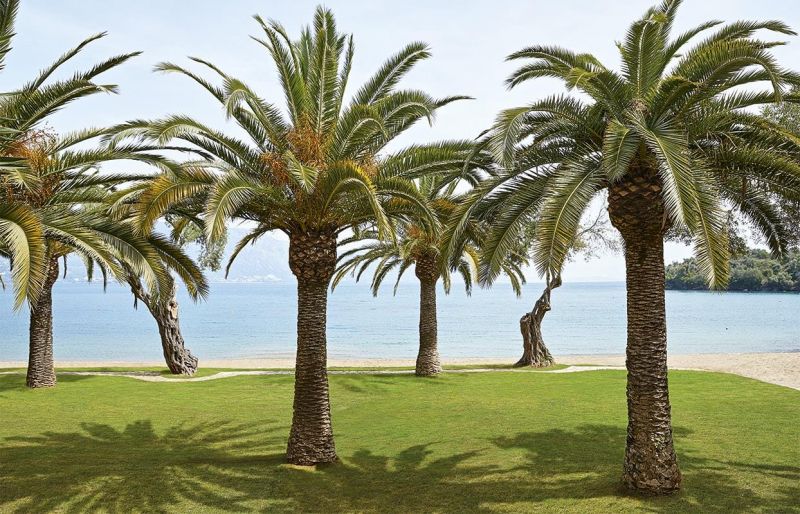 GRECOTEL LUX.ME DAPHNILA BAY DASSIA фото 6