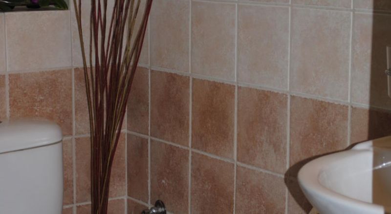 IDEAL фото 8