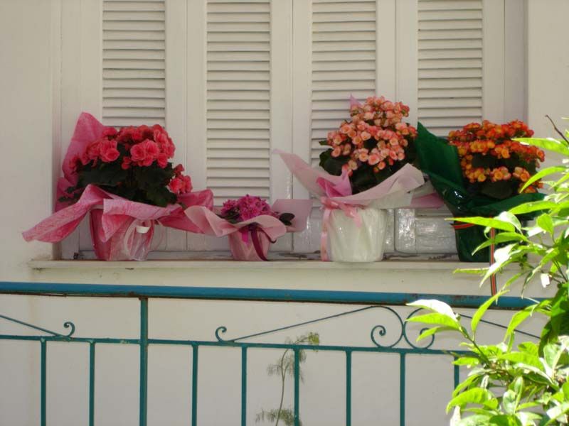 IRINI APARTMENTS BENITSES фото 8