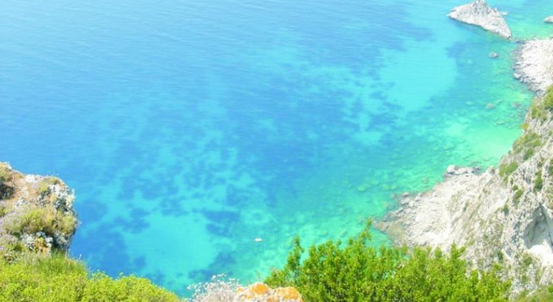 MEDITERRANEAN BLUE фото 3