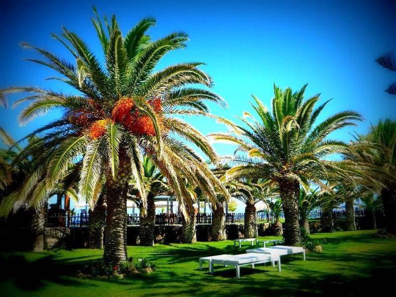 MINOS MARE ROYAL фото 7