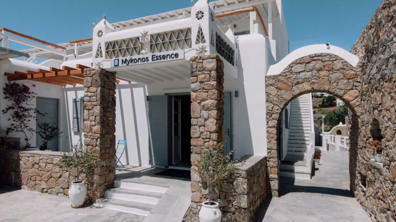 MYKONOS ESSENCE HOTEL фото 8