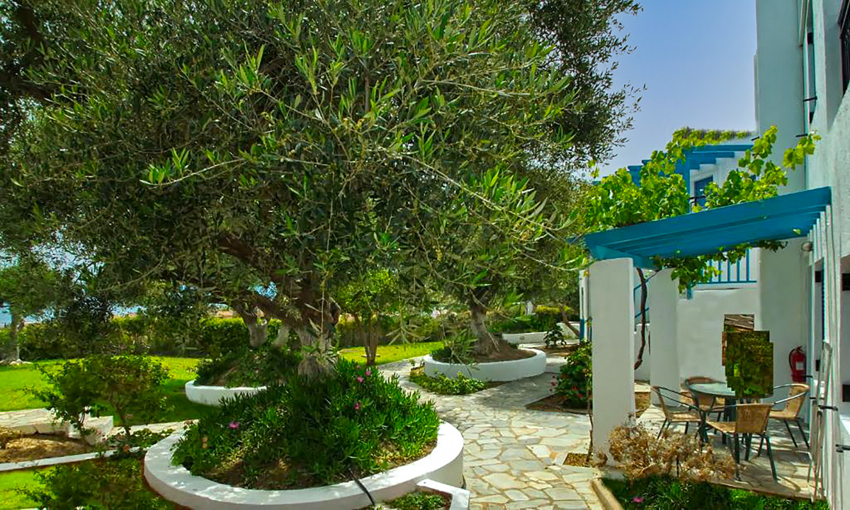 PALATIA VILLAGE HOTEL APARTMENTS фото 5