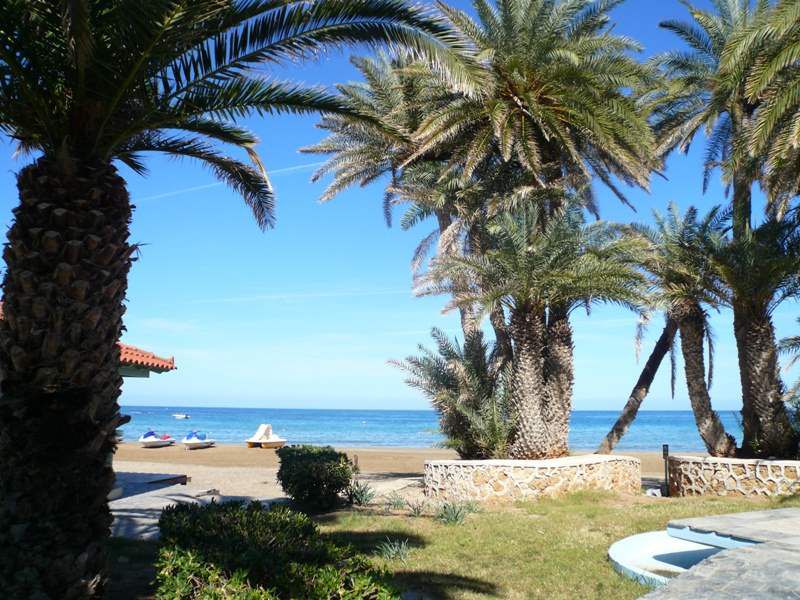 ZEUS HOTELS PALM BEACH