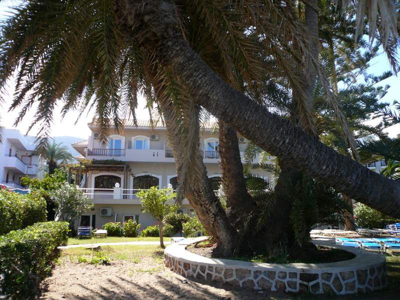 ZEUS HOTELS PALM BEACH фото 2
