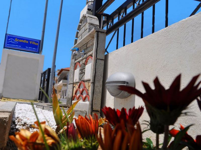 SCANDIA VILLAS фото 4