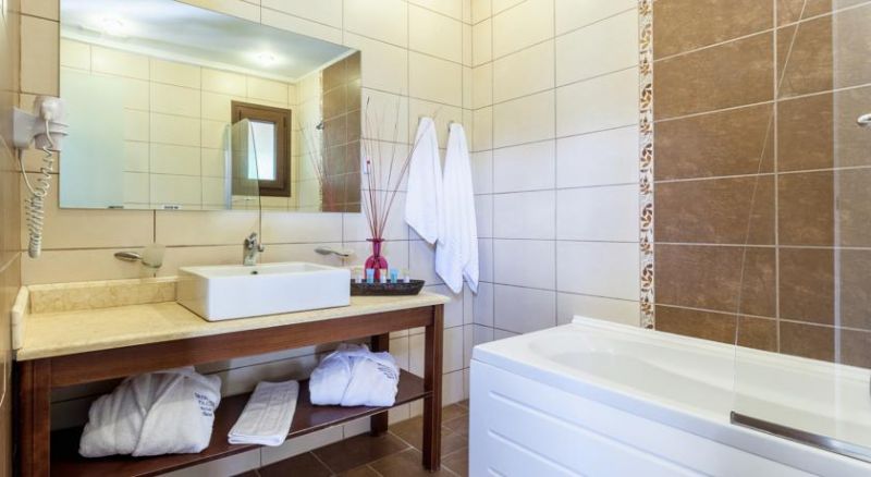 SKOPELOS HOLIDAYS HOTEL & SPA фото 2