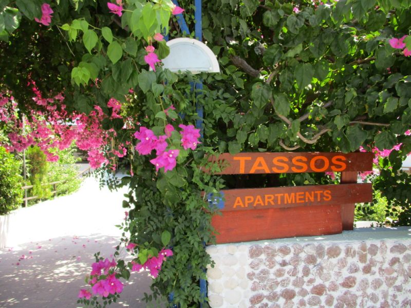 TASSOS APARTMENTS фото 3
