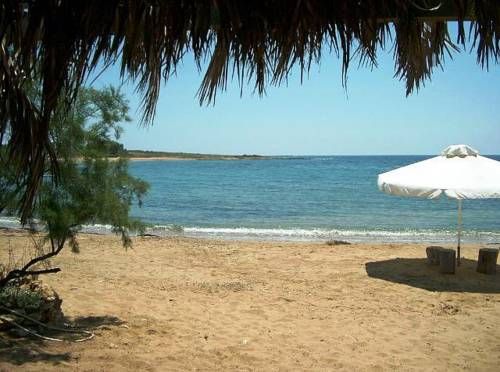 VATSA CLUB фото 6