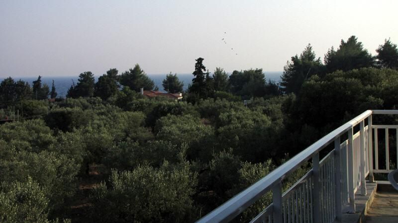 VILLA IOANNA фото 5