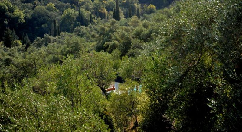 VILLA MANAVRA фото 6