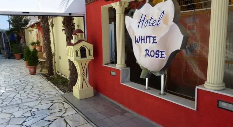 WHITE ROSE фото 7