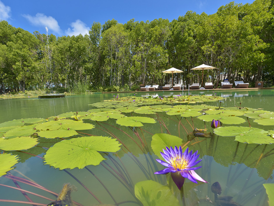 DREAMLAND THE UNIQUE SEA & LAKE RESORT фото 4