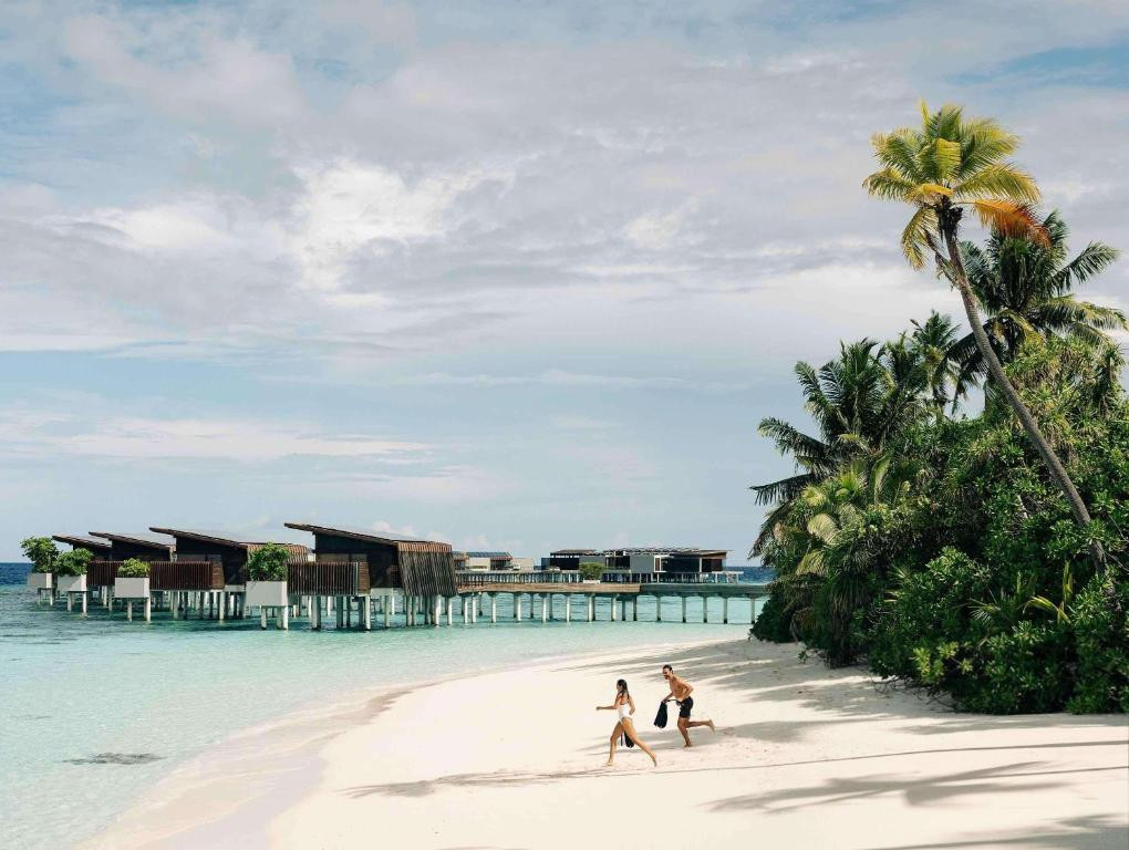 PARK HYATT MALDIVES фото 8