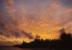 ASDU SUN ISLAND фото 6