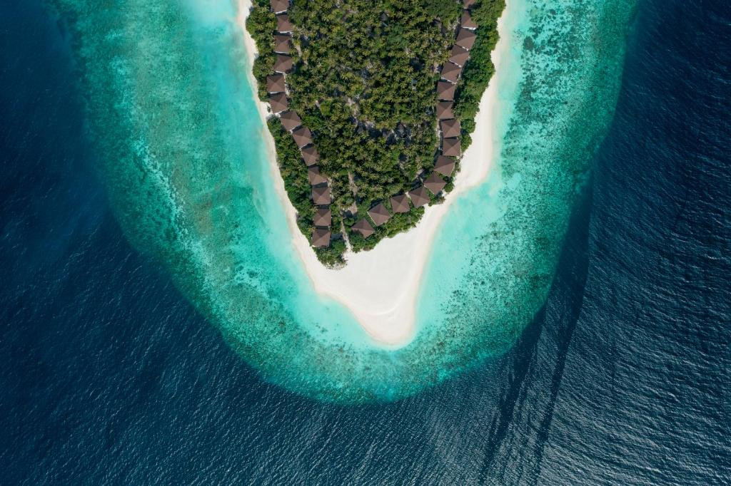 AVANI+ FARES MALDIVES RESORT фото 4